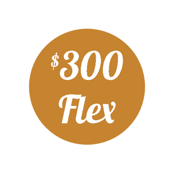 Plan H - $300 Flex Plan