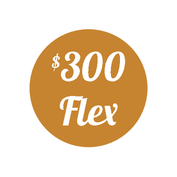Picture of Plan H - $300 Flex Plan